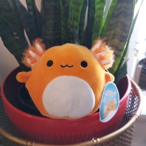 BNWT Nico the Axolotl Squishmallow 5"
